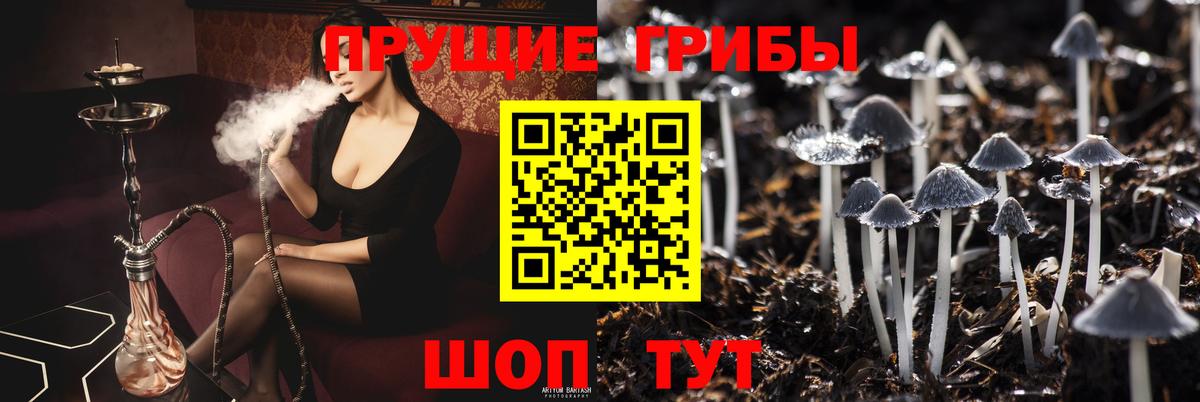 Галлюциногенные грибы Magic Shrooms  Псилоцибиновые грибы ЛСД  Вход с VPN  даркнет сайт  Калининград 